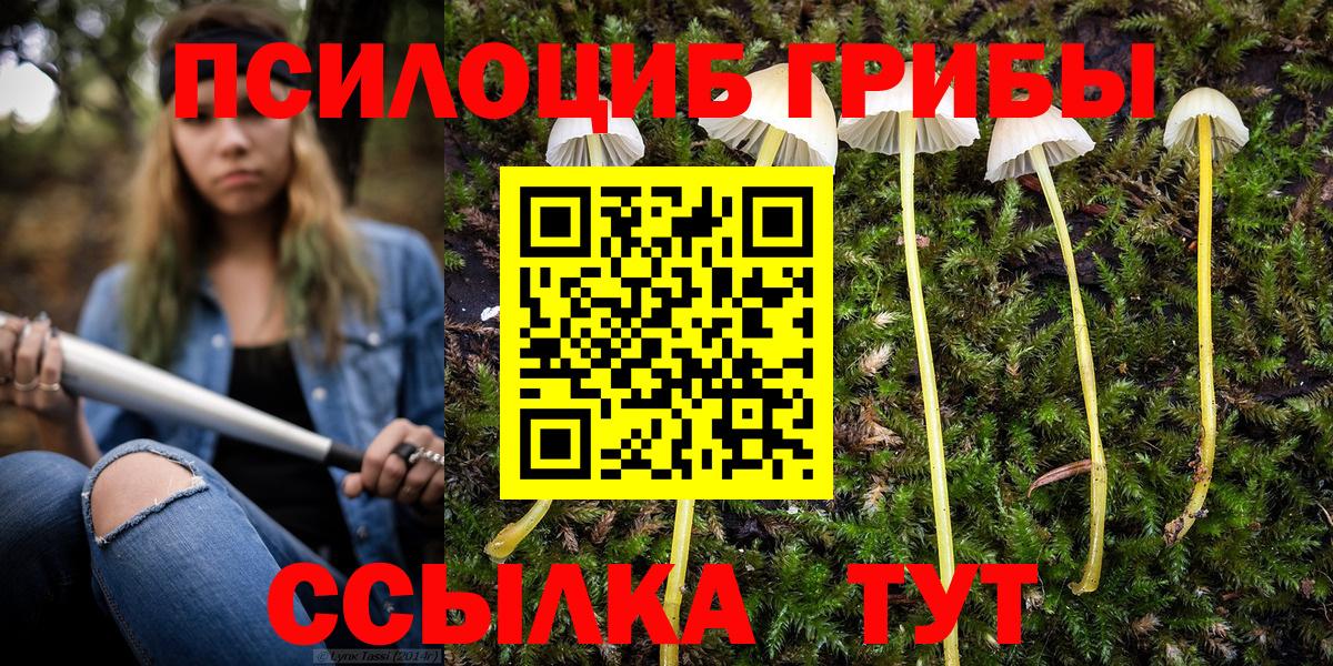 Галлюциногенные грибы MAGIC MUSHROOMS  Галлюциногенные грибы Magic Shrooms  Вход с VPN  Каменск-Шахтинский 