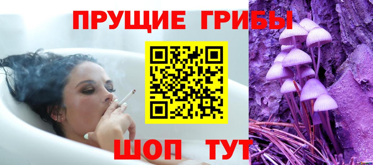 Галлюциногенные грибы MAGIC MUSHROOMS Каменск-Шахтинский